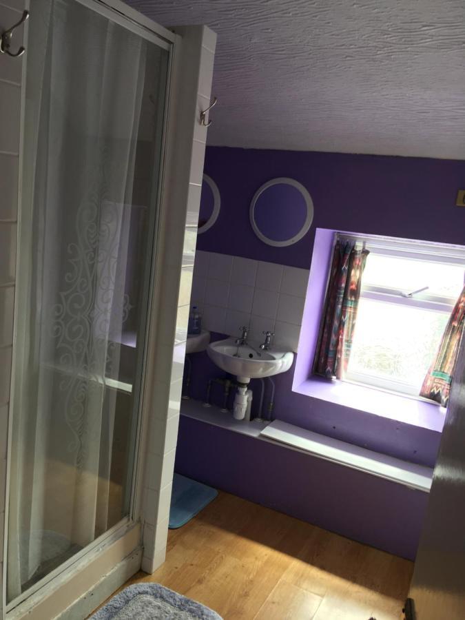 Pantyrathro International Hostel Кармартен Экстерьер фото